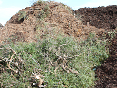 4col-vegetation